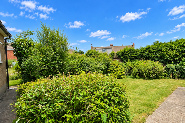 5, D'arcy Road, Colchester photo 3