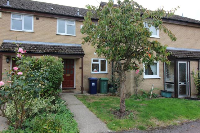 Thumbnail Terraced house to rent in Dudgeon Drive, Oxford