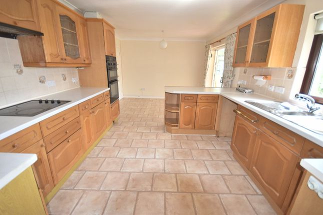 Derwen Las, Pentrecwrt, Llandysul photo 4