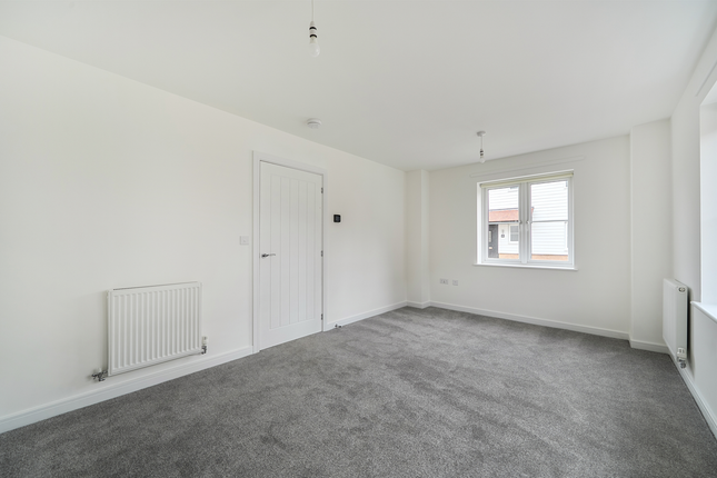 4, Herne Bay photo 4
