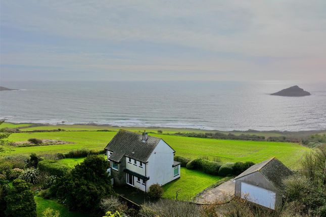 Dji_Fly_20251113_112712_0857_1763039891030_Photo (