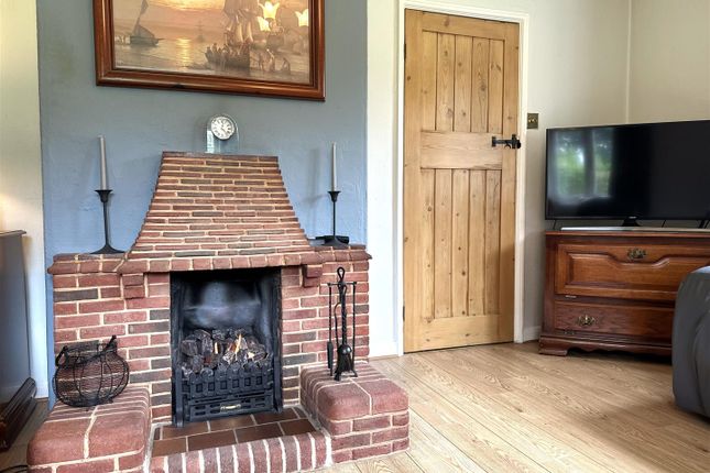 Delightful Feature Fireplace 299