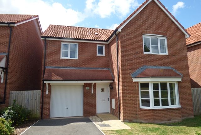 Thumbnail Detached house to rent in Copseclose Lane, Cranbrook, Exeter