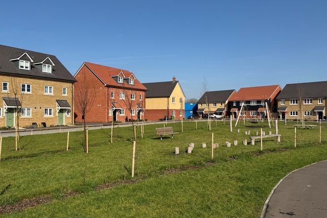 Plot 79, The Cedar, White House Park, Buckenham Road, Attleborough photo 4