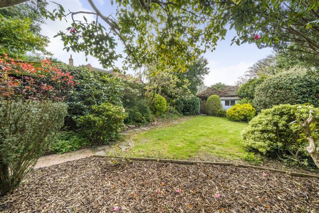 Detached house for sale in Courts Mount Road, Haslemere