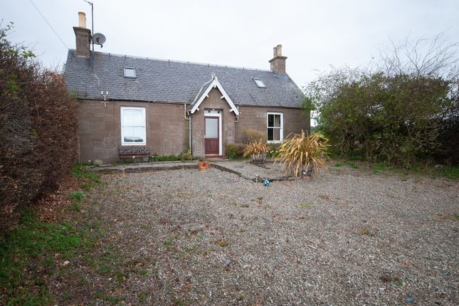 Thumbnail Detached house to rent in West Mains Of Hedderwick, Montrose, Angus