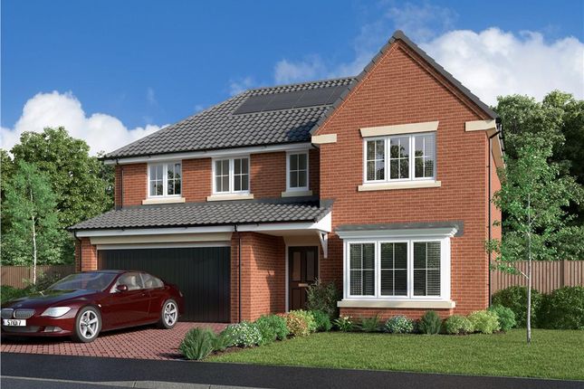 Thumbnail Detached house for sale in "The Beechford" at Welwyn Road, Ingleby Barwick, Stockton-On-Tees