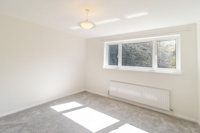 8643607-Interior09
