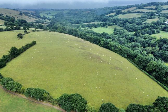 Land at Felindre Uchaf, Lampeter photo 2