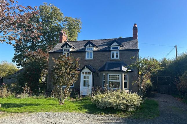 Whatsapp Image 2025-09-30 25.Jpeg