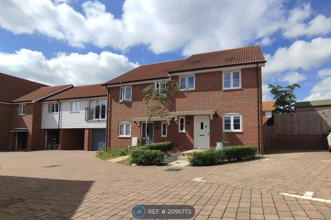 Semi-detached house to rent in Fray Close, Bishop's Stortford