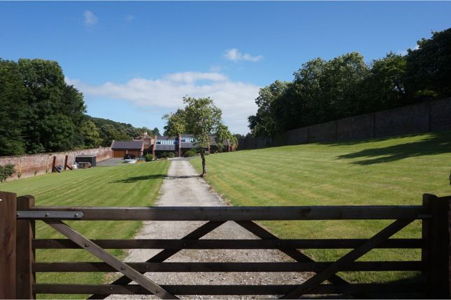 View Of The Property