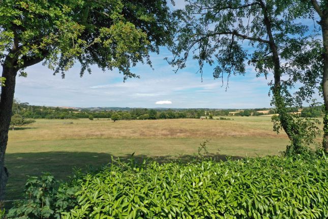 62d01Dd2Edbf2_Tm-Garden-Walk-Dji_0947