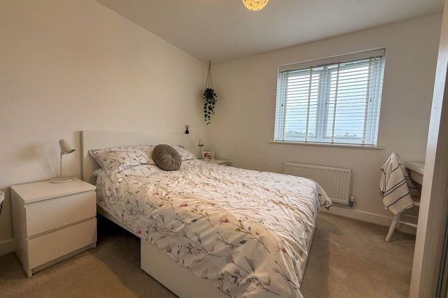 Betony Drive, Newton Abbot photo 3