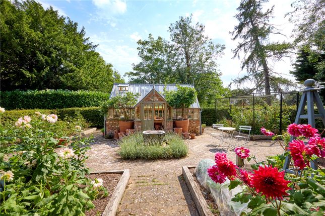 Greenhouse