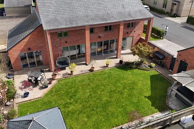 Drone View