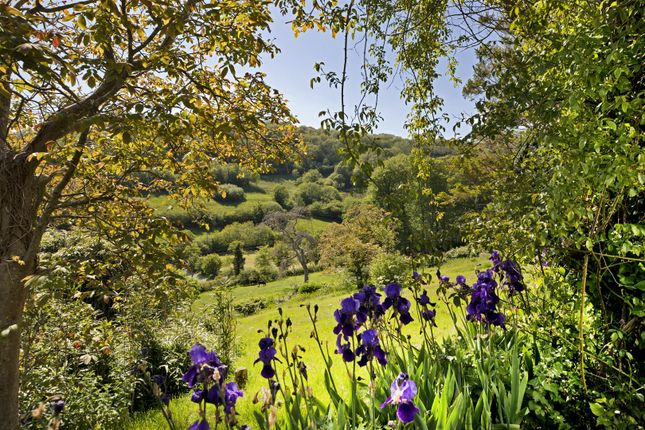 Trafalgarbarton Garden 610.Jpg