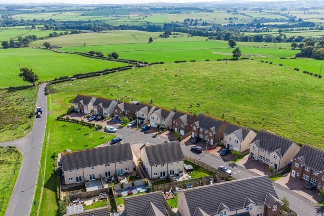 Townswell Gardens-44.Jpg