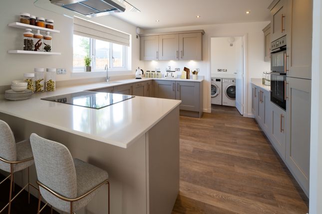 Plot 63 The Longstone, Roseberry Park, Tranent photo 4