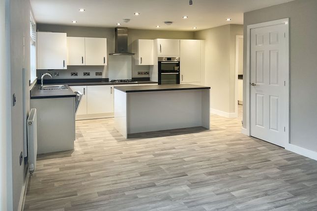 Kitchen/ Dining/ Family Room