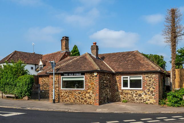 Thumbnail Bungalow for sale in Elstead, Godalming, Surrey