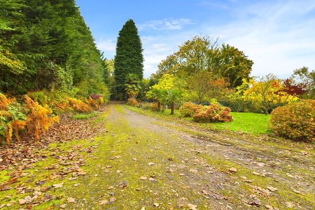 North Model Farm, Tandridge Hill Lane, Godstone photo 4