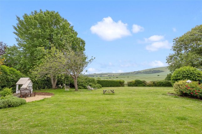 Garden And View