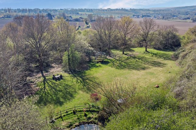 Drone View