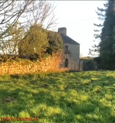 Detached house for sale in Castlepark, Ballydangan, Athlone,