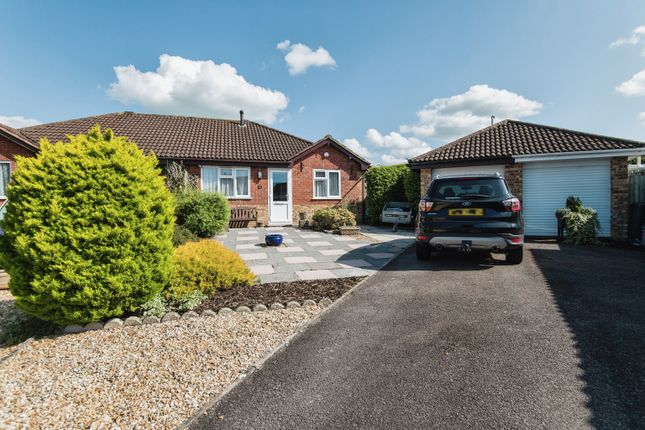 Thumbnail Bungalow for sale in Rowan Close, Honiton