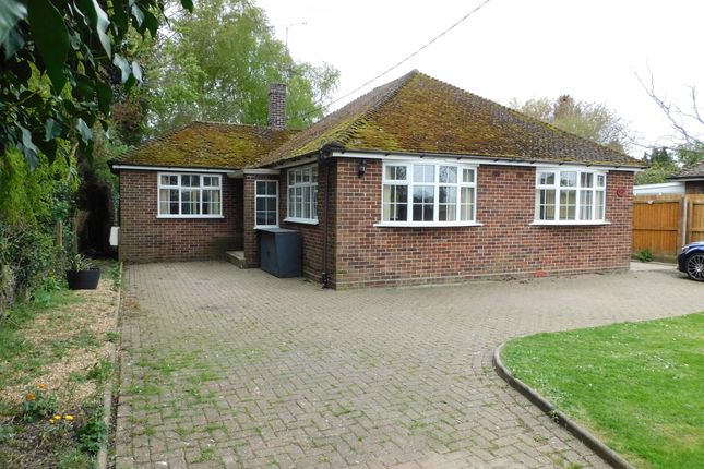 3 bed detached bungalow to rent in Gedney Road, Long Sutton, Spalding PE12