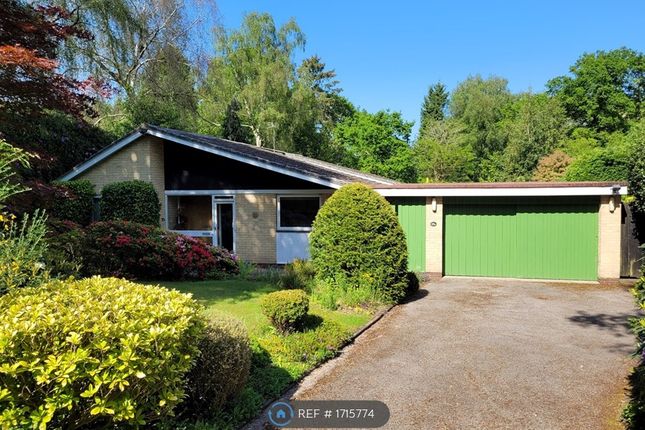 Thumbnail Bungalow to rent in Hartopp Road, Sutton Coldfield