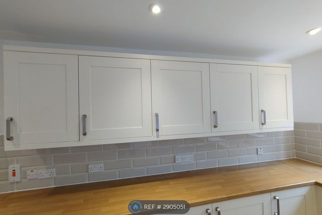 Conifer Road, Southampton photo 4