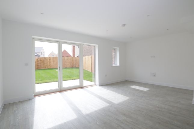 Detached house to rent in Green Lane, Cambridge