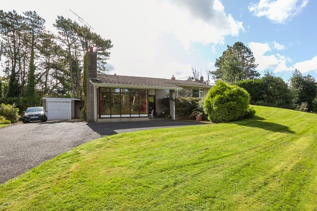 Thumbnail Detached bungalow for sale in Dunmore Road, Ballynahinch