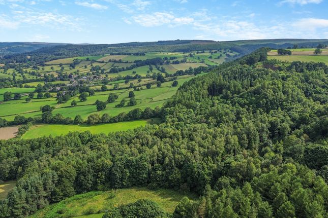 Thumbnail Land for sale in Peaktor Lane, Rowsley, Matlock, Derbyshire