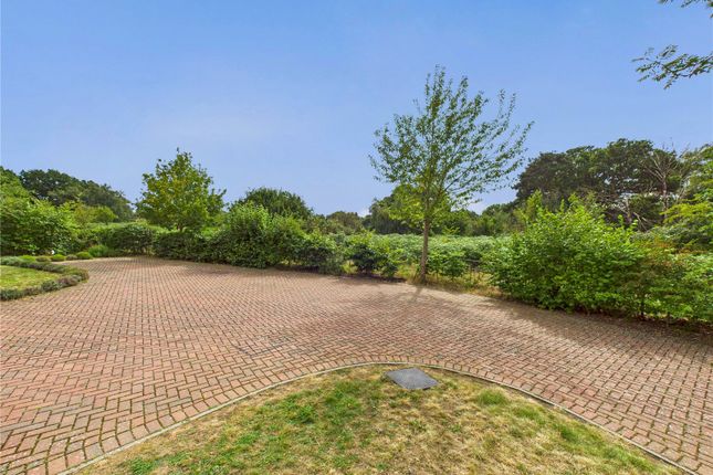 11, Nightjar Grove, Woodbridge photo 2