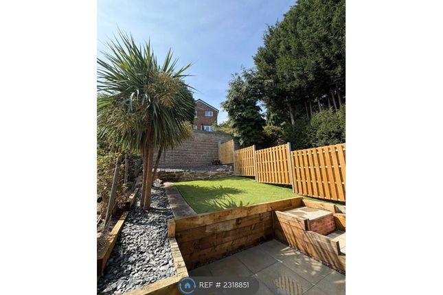 Standon Road, Wincobank, Sheffield photo 4