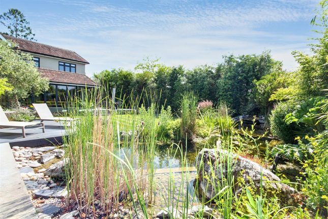 Lake View.Jpg