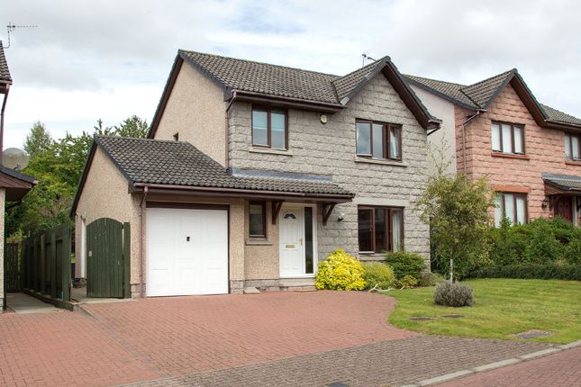 Thumbnail Detached house to rent in Mary Findlay Drive, Longforgan, Dundee