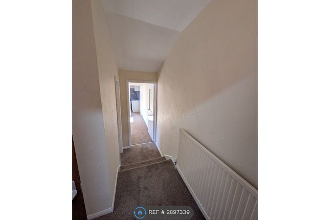 Flat, Rutland Avenue, Leicester photo 5