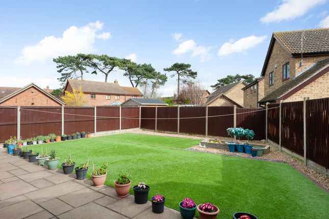 5 Amos Close, Herne Bay photo 2