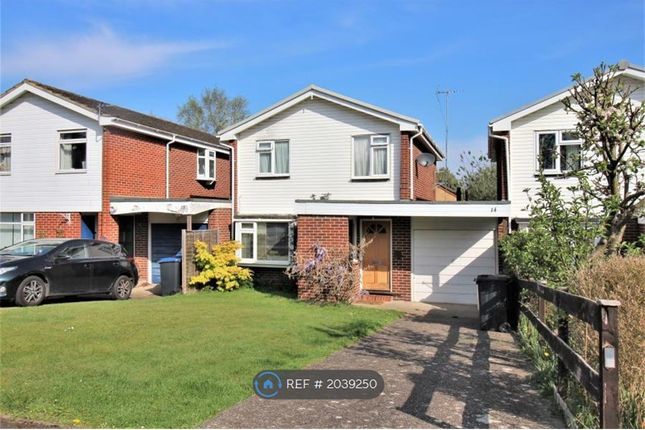 Thumbnail Detached house to rent in Wilders Close, Woking