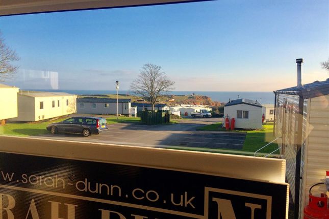 A Larger Local Choice Of Properties For Sale In Exmouth Homes24couk