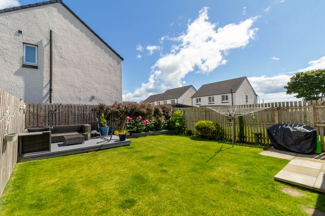 14, Doug Ford Street, Arbroath photo 4