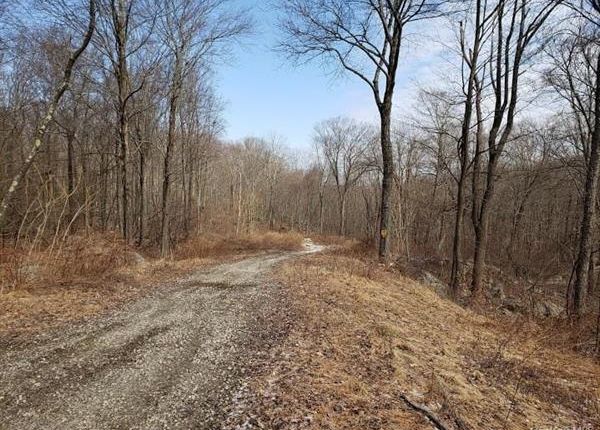 Thumbnail Land for sale in S White Rock Road, Holmes, New York, United States Of America