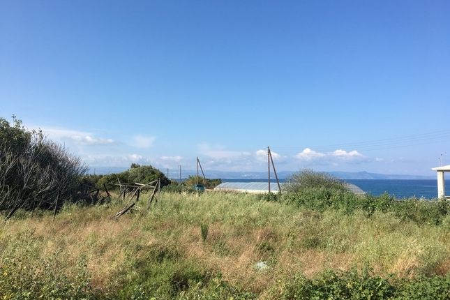 Land for sale in Nea Dimmata, Cyprus
