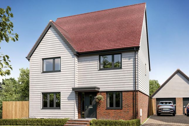 Dandara - Zoopla -