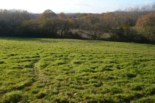 Thumbnail Land for sale in Cinderford Lane, Hellingly
