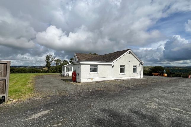 Brynhebog, Llandysul photo 3